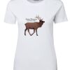 Ladies Special Tee Thumbnail