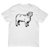 Kids Special Tee Thumbnail