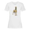 Stedman Ladies Classic Tee Thumbnail