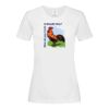 Stedman Ladies Classic Tee Thumbnail